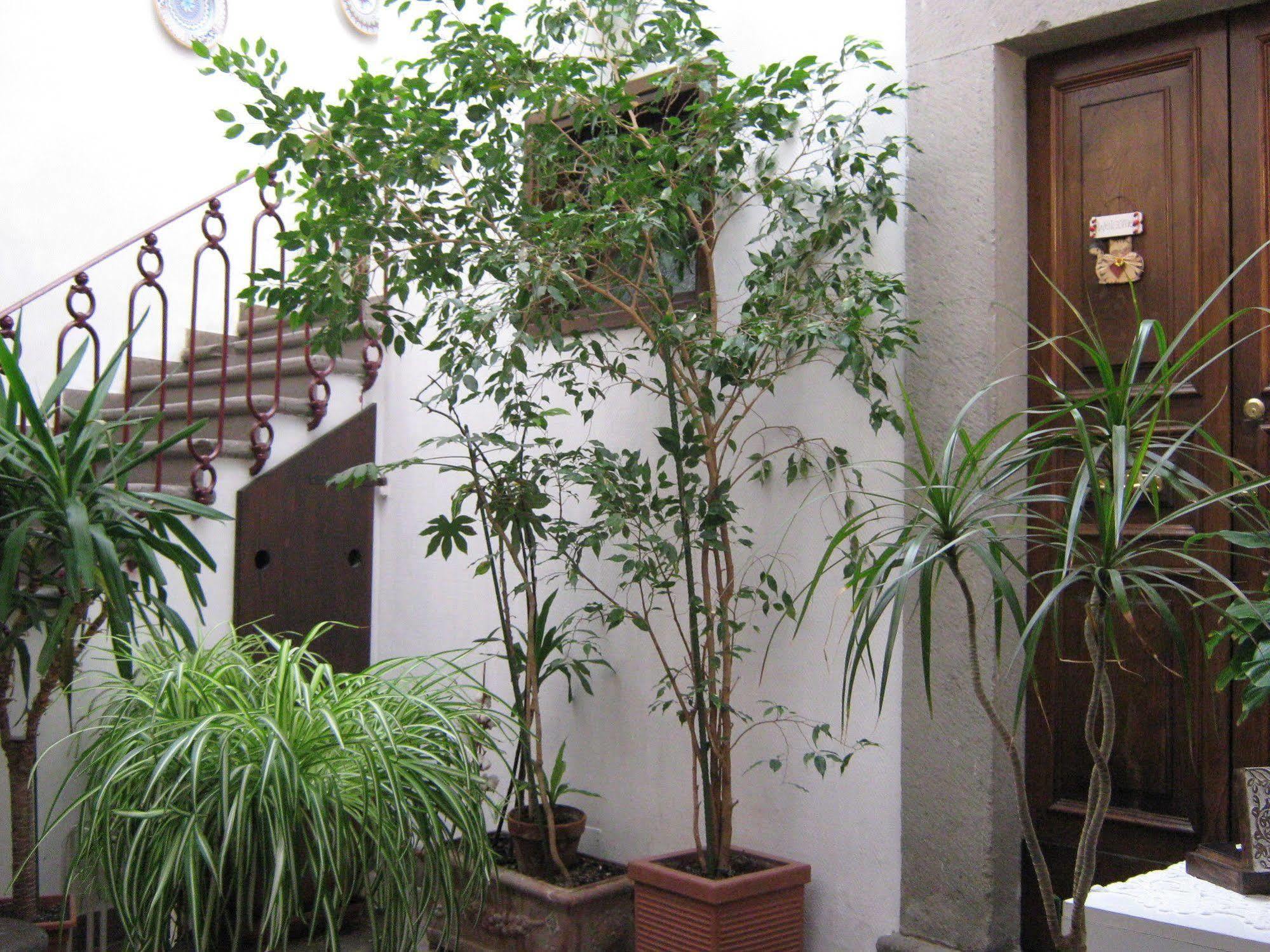 Bb Santa Rosa Bed & Breakfast Viterbo Bagian luar foto